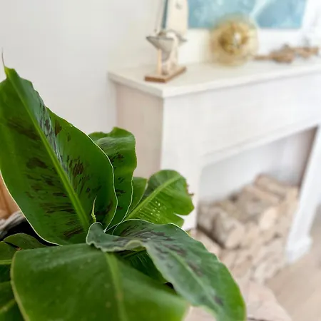 Aqua Przystan 80 - Novum Rumia