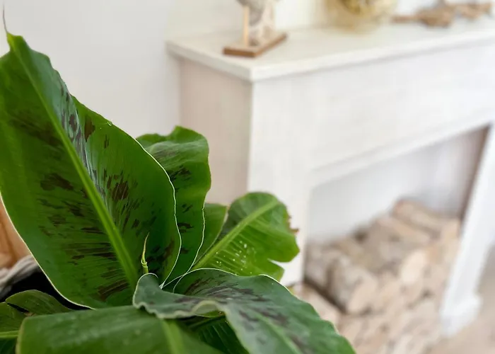 Aqua Przystan 80 - Novum Rumia